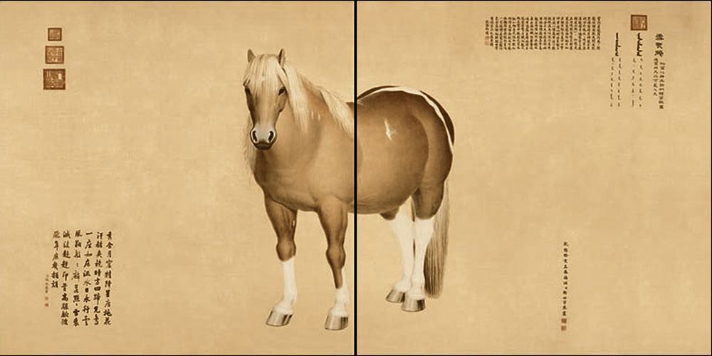 PC108WLPP1(1600x800)