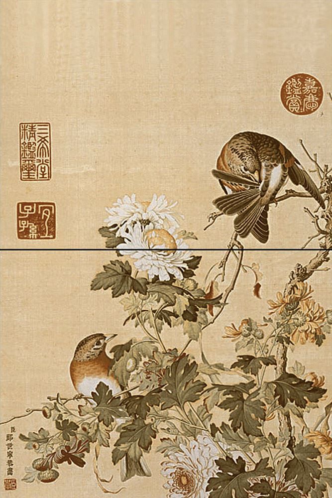 PC078WLPP2(800x1200)