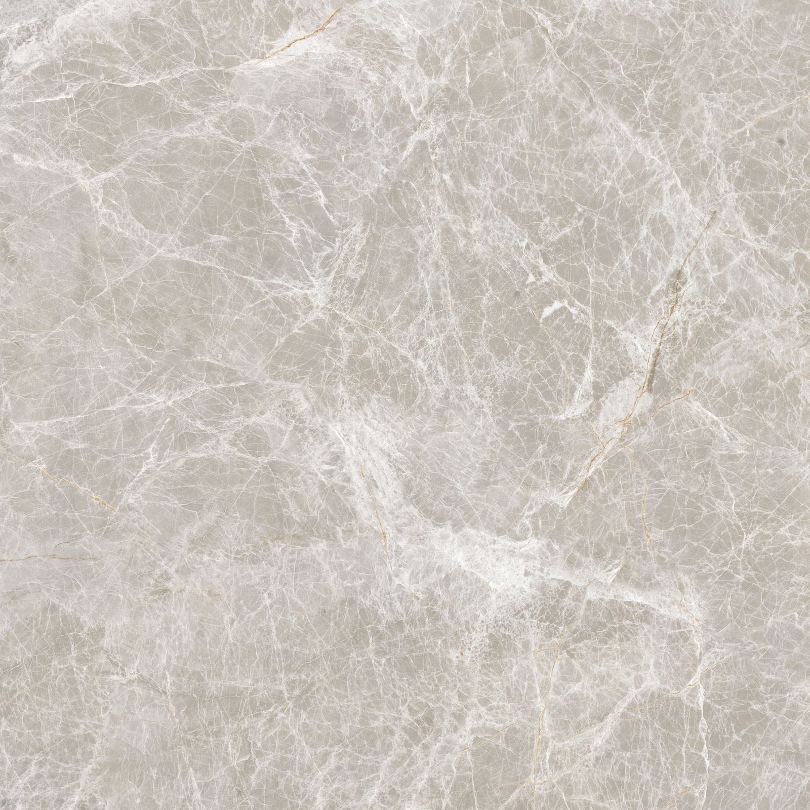 卡瑟灰T1498LKP (1)