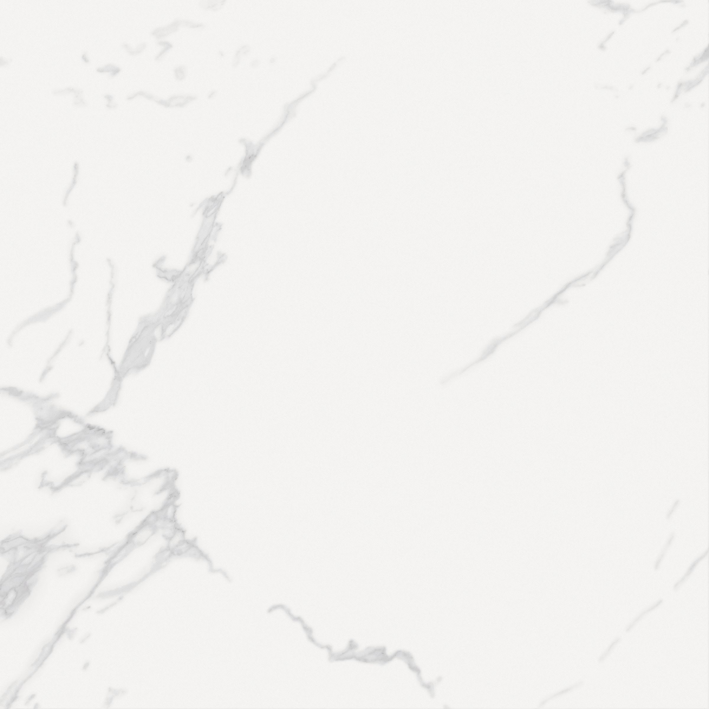 尼萨白T04680KP (1)