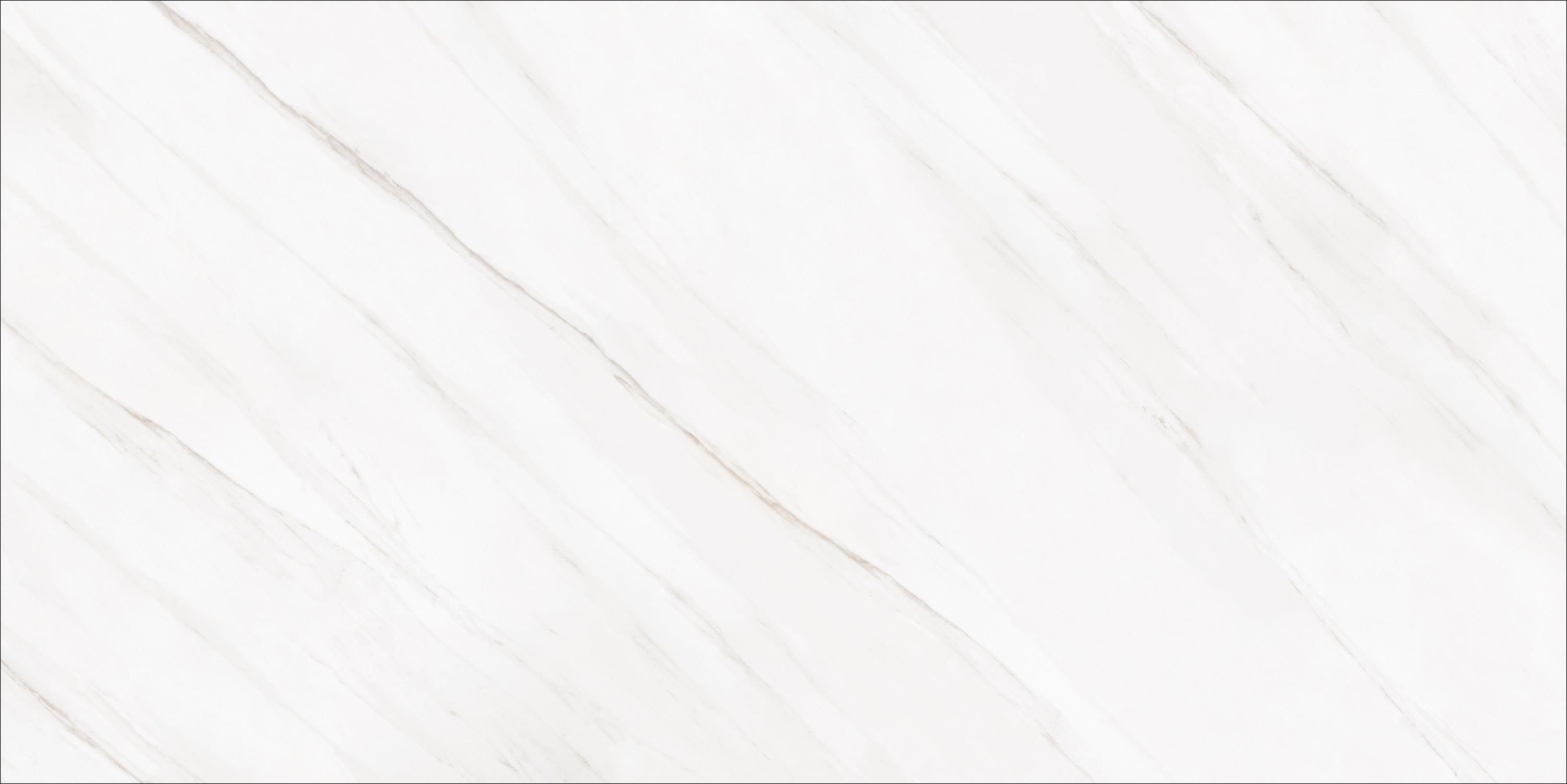 51e0d40149903069c9ddb93be90e324